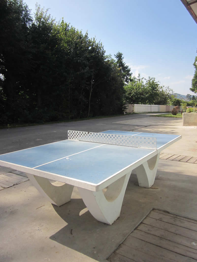 table ping-pong